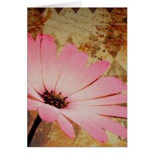 Rosa Blume gemischte Medien