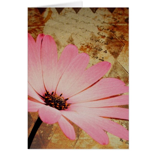 Rosa Blume gemischte Medien (Vorne)