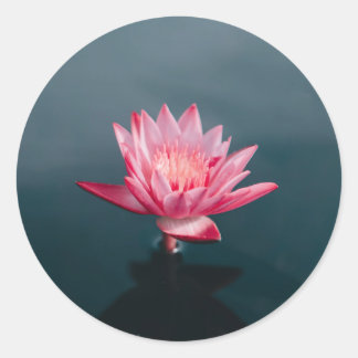 Rosa Blume Grußkarte Set Runder Aufkleber