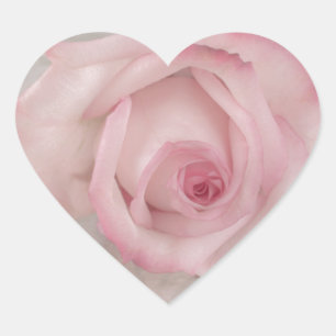Rosa-Blume Herz-Aufkleber