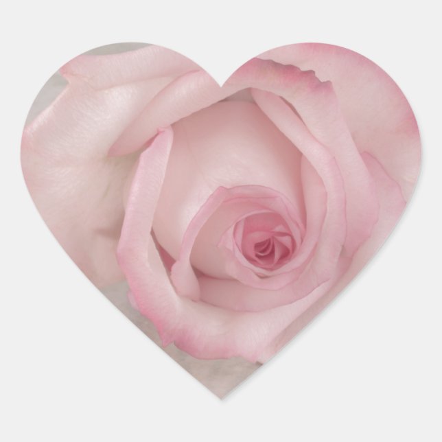 Rosa-Blume Herz-Aufkleber (Vorderseite)