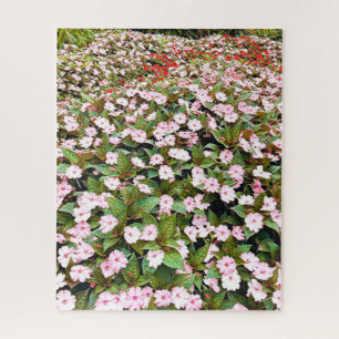 Rosa Blume im botanischen Garten NSW Puzzle