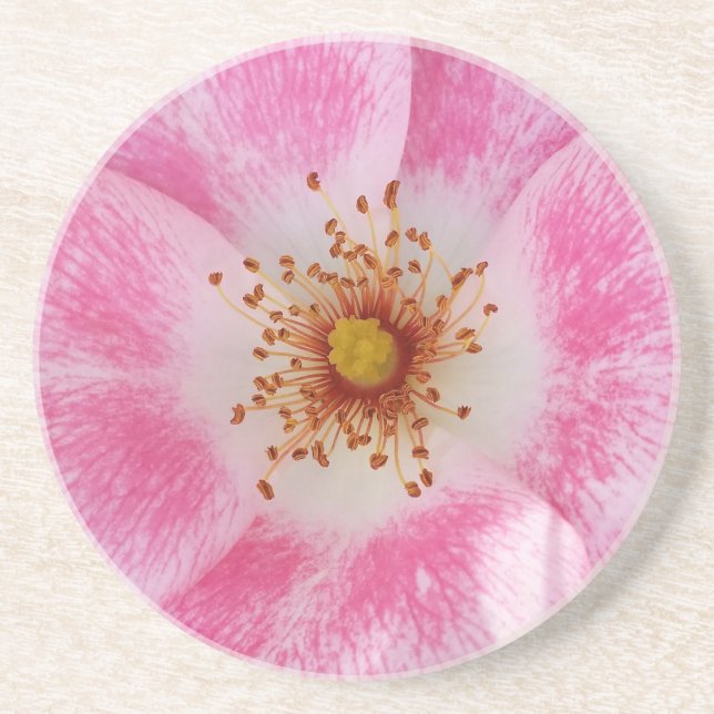 Rosa Blume im Schatten Getränkeuntersetzer (Vorne)