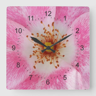 Rosa Blume im Schatten Quadratische Wanduhr