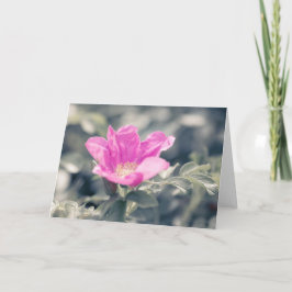 Rosa-Blume Karte