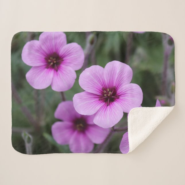Rosa Blume Kinderschuhe Klein Sherpadecke (Vorderseite (Horizontal))