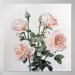 Rosa Blume Kunst drucken Poster