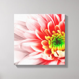 Rosa Blume Leinwand
