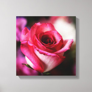 Rosa Blume Leinwanddruck