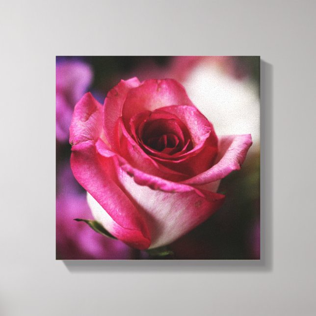 Rosa Blume Leinwanddruck (Vorderseite)