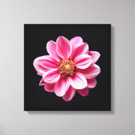 Rosa Blume Leinwanddruck