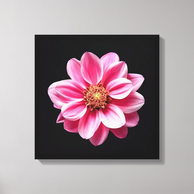 Rosa Blume Leinwanddruck (Vorderseite)