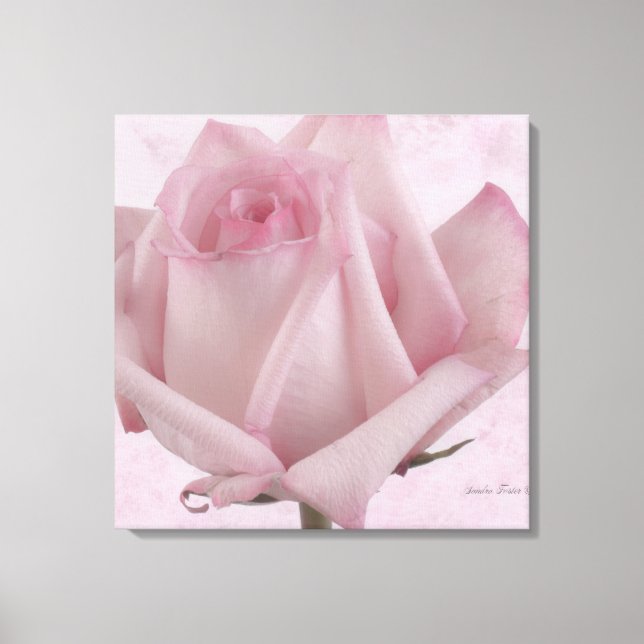 Rosa-Blume Leinwanddruck (Vorderseite)