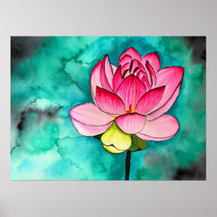 Rosa Blume Lotus Wasserfarben Poster