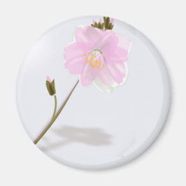 rosa Blume Magnet