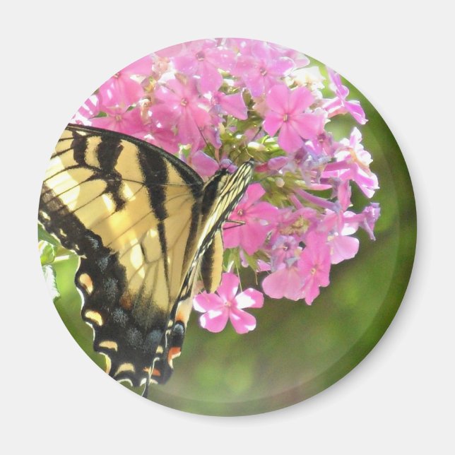 Rosa Blume Magnet (Vorne)
