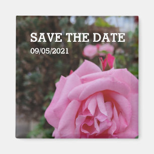 Rosa Blume Magnet