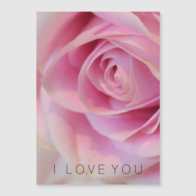 Rosa Blume Magnetkarte (Vorderseite)