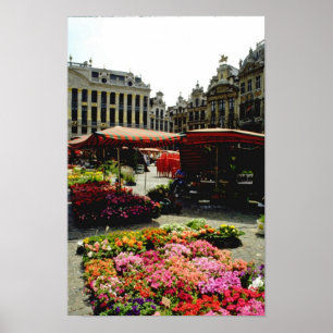 Rosa Blume Markt am Hauptplatz, Brüssel, Belgi Poster