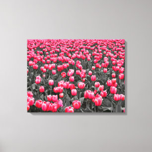 Rosa Blume Minimalistisch Selektive Farbe Foto Kun Leinwanddruck