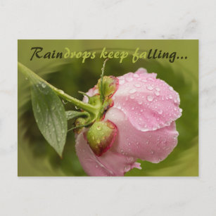 Rosa Blume mit glitzernden Regentropfen CC0506 Postkarte