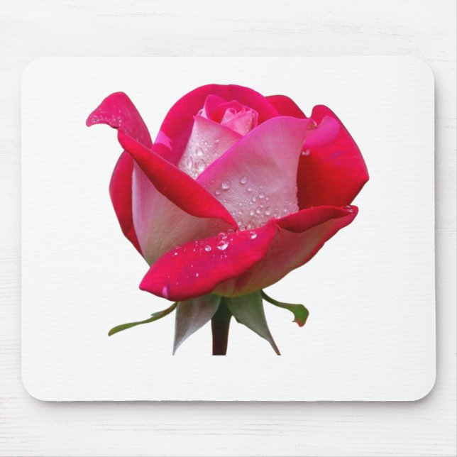 Rosa Blume mit Wassertropfen Vintag Mousepad (Vorne)
