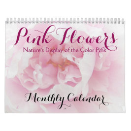 Rosa Blume Natur Blumenbeauty Foto Kalender