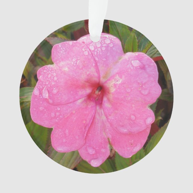 Rosa Blume Ornament (Vorderseite)