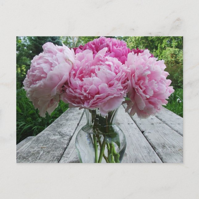 Rosa Blume/Peony-Anordnung in Vase Postkarte (Vorderseite)