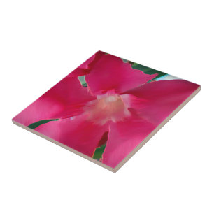 Rosa Blume Petals Fliese