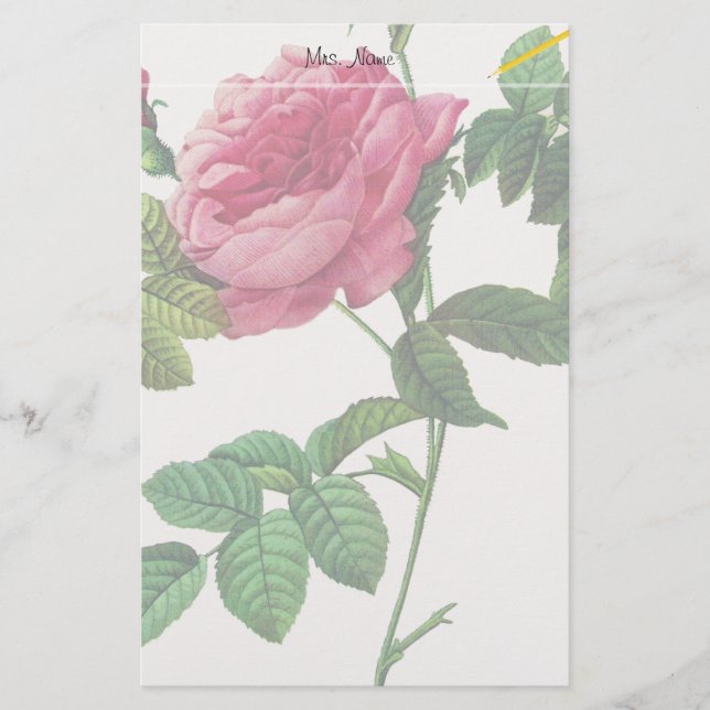 Rosa Blume, Pierre Joseph Redouté Briefpapier (Vorderseite)