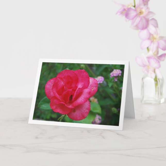 Rosa Blume Portrait Karte (Orchidee)