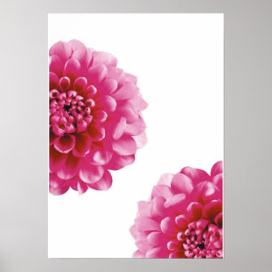 Rosa Blume Poster