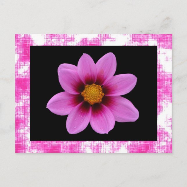 Rosa Blume Postkarte (Vorderseite)