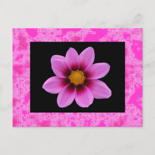 Rosa Blume Postkarte