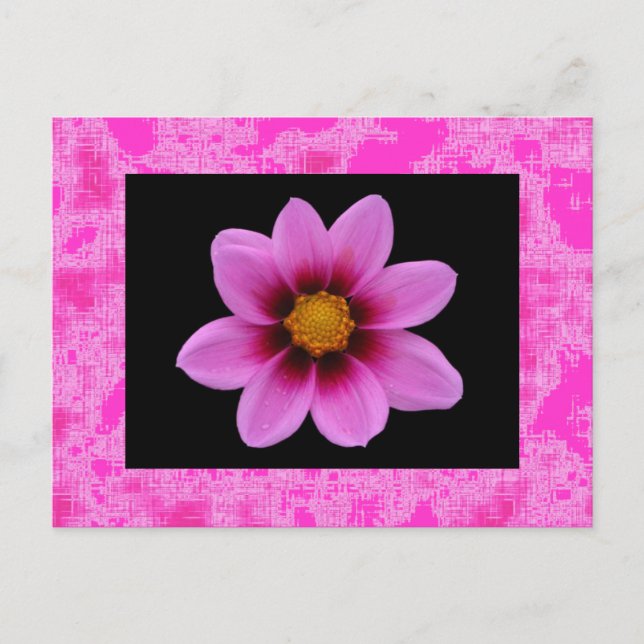 Rosa Blume Postkarte (Vorderseite)