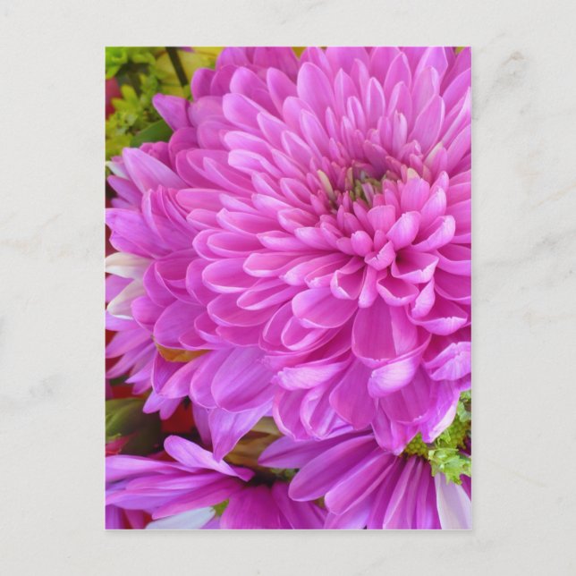 Rosa Blume Power Postkarte (Vorderseite)