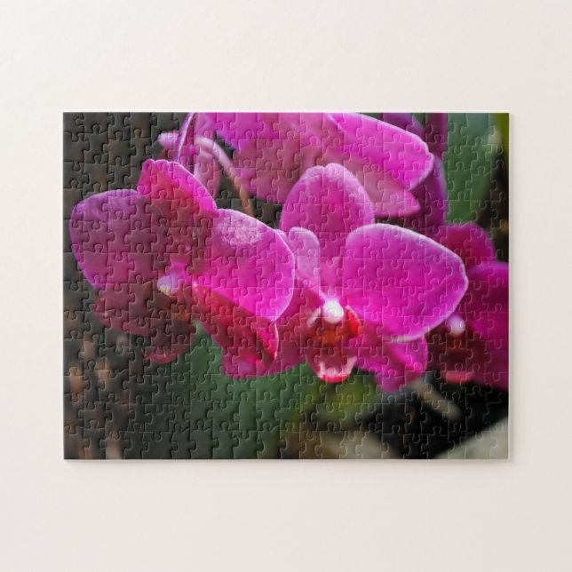 Rosa Blume Puzzle (Horizontal)