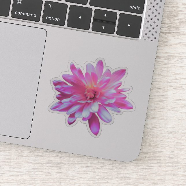 Rosa Blume Rosa Rosa Rosa Daisy Rosa Sonnenblume Aufkleber (Detail)