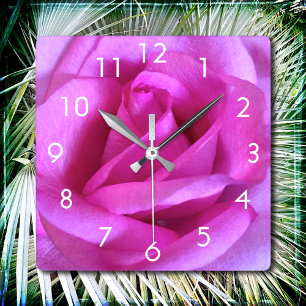 Rosa Blume Rose Foto modern stilvoll und kühl Quadratische Wanduhr