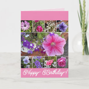Rosa Blume Rose Petunia Daisy Birthday Karte