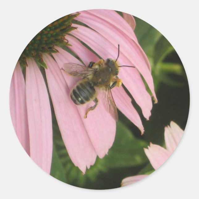 Rosa Blume Runder Aufkleber (Vorderseite)