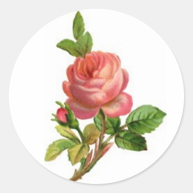 Rosa Blume Runder Aufkleber (Vorderseite)