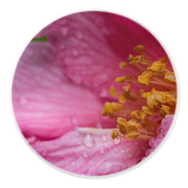 Rosa Blume Stamens Keramikknauf (Vorderseite)