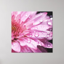 Rosa Blume Super Macro mit Raindrops