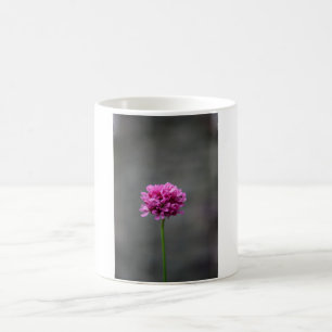 Rosa Blume Tasse