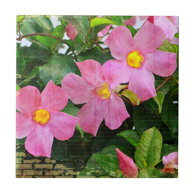 Rosa Blume Tile Fliese (Vorderseite)
