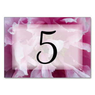 Rosa Blume Tischnummern