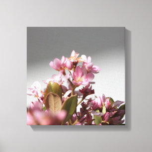 Rosa Blume überwölbte Leinwand