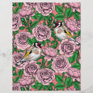 Rosa Blume und Goldflossen
